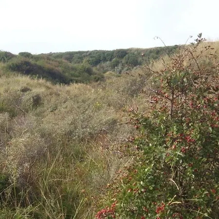 بيت للعطل Strandhaus Direkt Am فيكْ آنْ زي